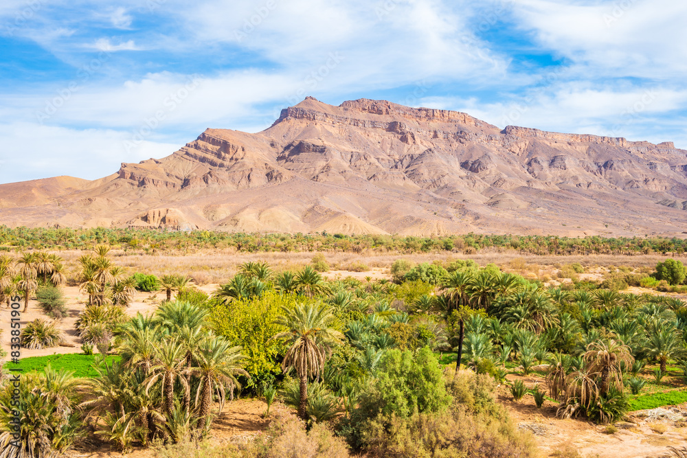 View of Jebel Kissane mountain and palm trees in green oasis near Agdz town in Atlas Mountains, Morocco, North Africa