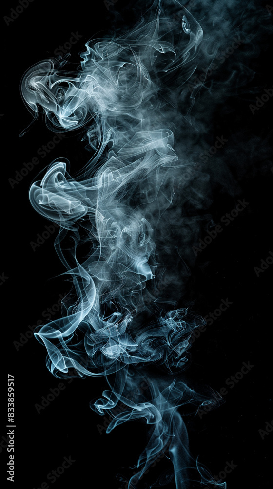 Fototapeta premium smoke on black