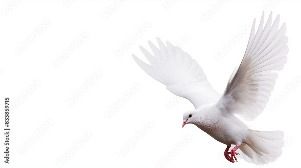 Obraz premium Winged Dove in Flight with Copy Space Symbolizing Peace and Freedom