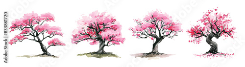 Collection set of watercolor pink sakura cherry blossom trees blooming flower garden