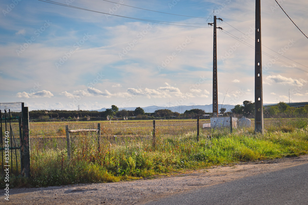 Fototapeta premium landscape with a fence