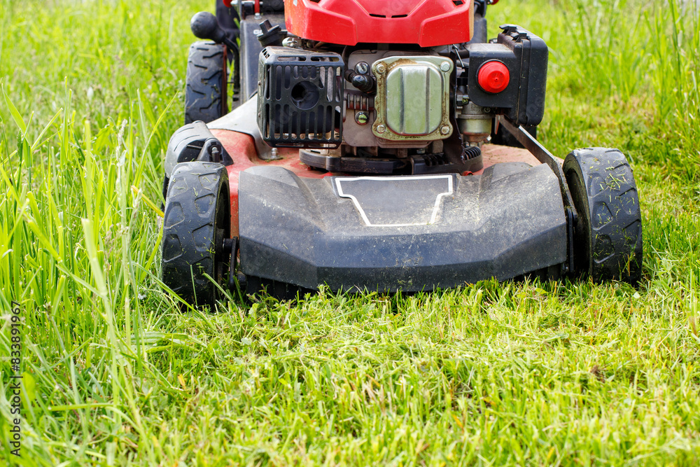Obraz premium A lawnmower mows the lawn in the garden