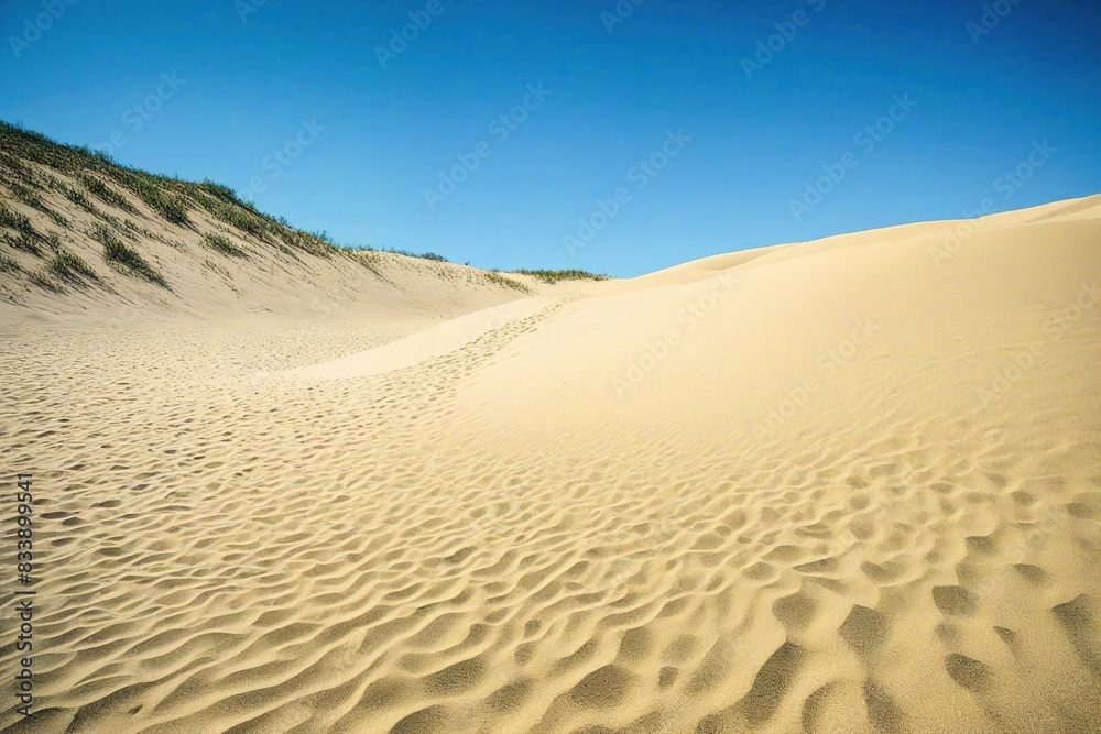 sand dunes in park