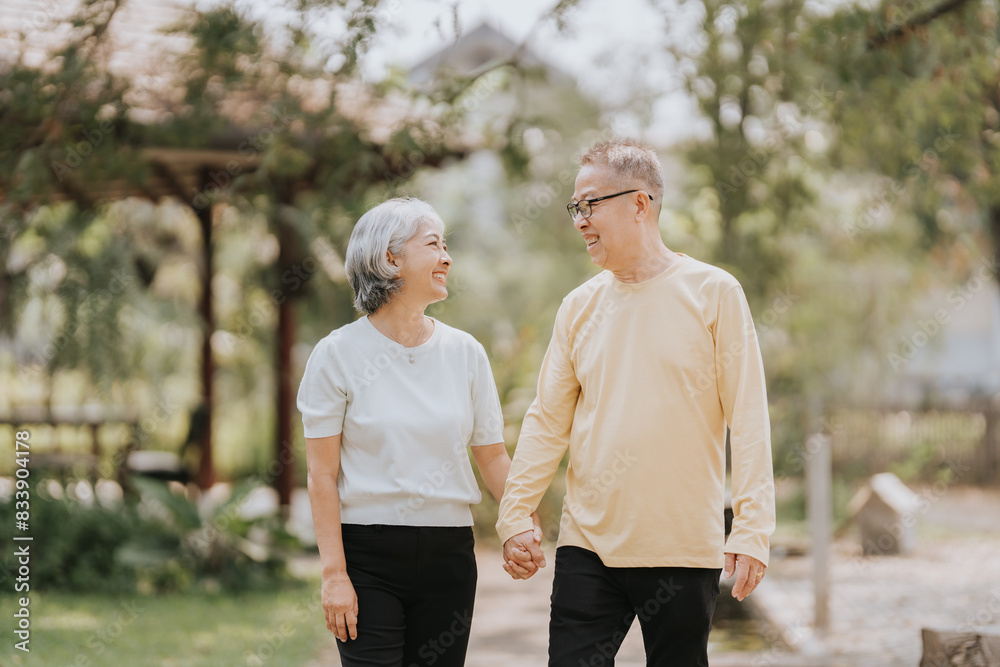 Elderly couple. Asian elderly couple giving love to each other smiling happily. Love and care for each other. Elderly couple. Asian elderly couple giving love to each other smiling happily. Love and care for each other.