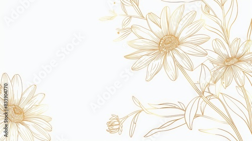 Daisies floral, luxury botanical on white background vector, empty space in the middle to leave room for text or logo, gold line wallpaper, leaves, flower, foliage, hand drawn