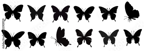 Flying butterflies silhouette black set isolated on white background. Set of butterflies, ink silhouettes. Glowworms, fireflies and butterflies icons