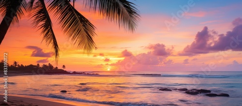 Tropical beach at sunset with palm tree and pink sky, ideal for holiday relaxation, with a picturesque backdrop for a copy space image.
