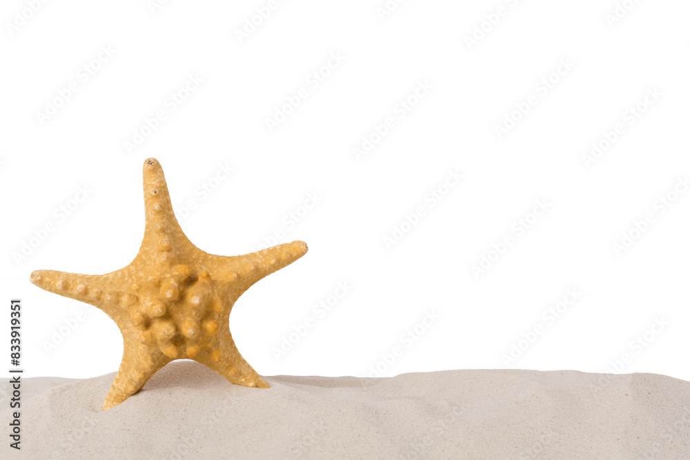 Starfish on sand against isolated background Starfish on sand against isolated background