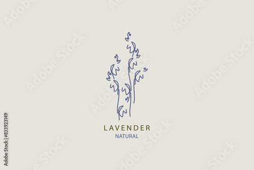 Lavender flower natural beauty logo vector flat design.