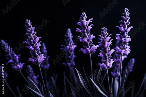 Gloomy flare isolated black background fire burn smoke flower floral shining