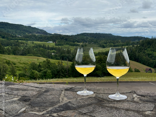 Two glasses of wine at the vineyard