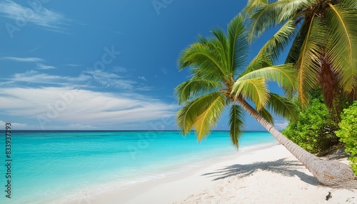 banner of idyllic tropical beach with white sand palm tree and turquoise blue ocean