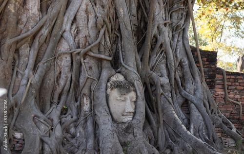 Buddha Head in the Tree Roots, Ayutthaya Thailand