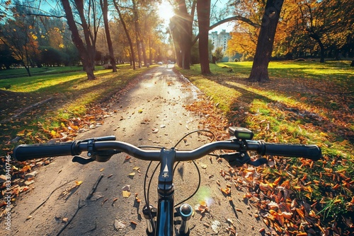 sunlit path through an autumn park, viewed from behind the handlebars of a bicycle with fallen leaves and colorful trees