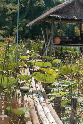 zen garden with lily pads all over 