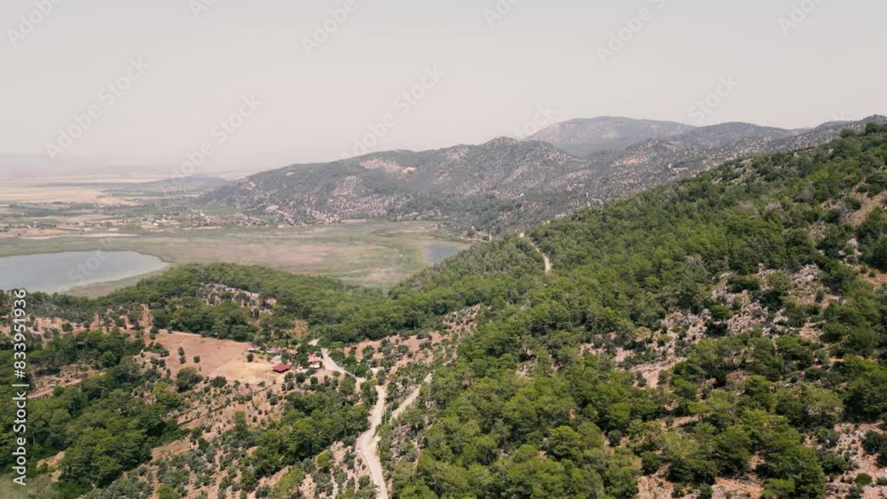 Aerial View of Mountain Hills Covered with Dense Green Lush Woods on Bright Summer Day. Aerial View of Mountain Hills Covered with Dense Green Lush Woods on Bright Summer Day.