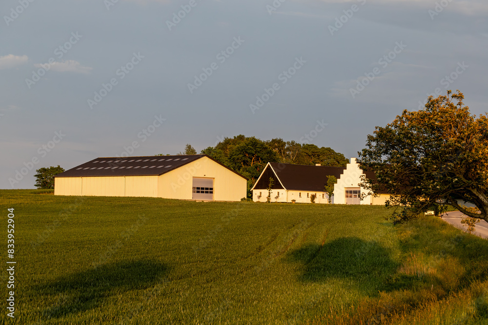 Tilsvilde, Denmark A sunset view over green agricultural fields and shadows of trees and farm buildings. Tilsvilde, Denmark A sunset view over green agricultural fields and shadows of trees and farm buildings.
