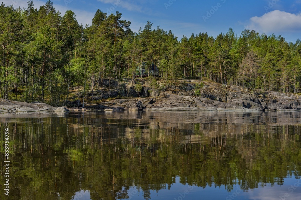 Ladoga skerries. Stone shore overgrown with pine forest. Northern nature of Karelia. Ladoga skerries. Stone shore overgrown with pine forest. Northern nature of Karelia.