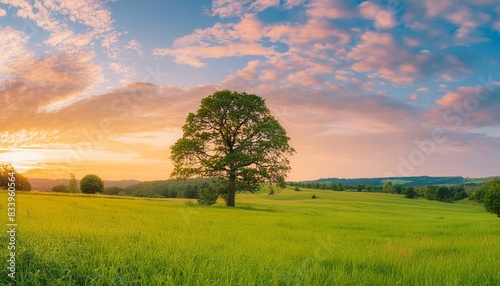 tranquil panoramic rural landscape scenery in an early summer morning after sunrise with a tree on green meadows and colorful clouds in the gold and blue sky