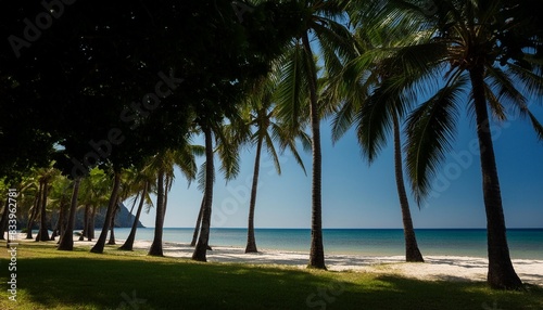 palm trees by the sea in a tropical beach