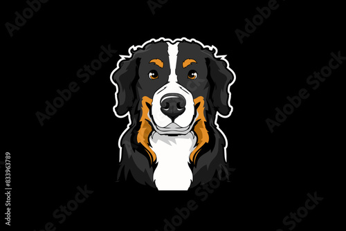 Bernese Mountain vector template photo