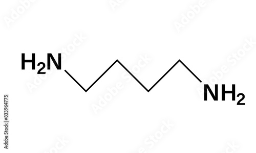 Vector Illustration of Putrescine Molecular Structure, Chemical Compound Diagram, Science Illustration, White Background.