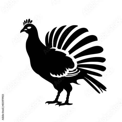 Wild Turkey