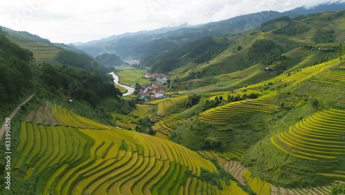 Aerial top view of fresh paddy rice terraces, green agricultural fields in countryside or rural area of Mu Cang Chai, mountain hills valley in Asia, Vietnam. Nature landscape background.