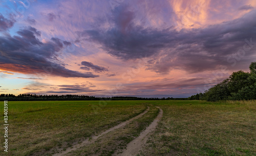 A dirt road winds through a vibrant spring field under an overcast sky  creating a peaceful and picturesque scene.