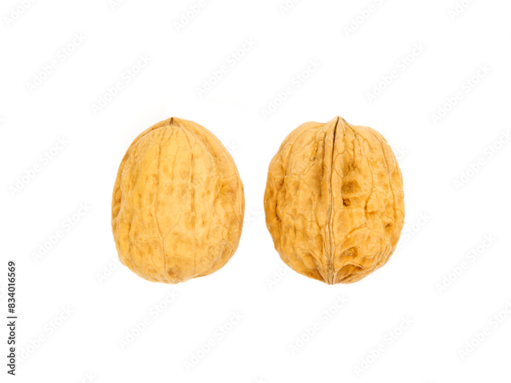 fernor walnuts isolated on white background