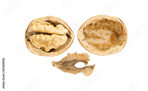 Half of walnut and walnut partition, isolated on white background