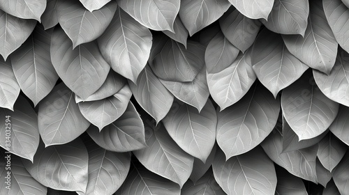   Black and white image of scattered leaves as a wallpaper or background photo