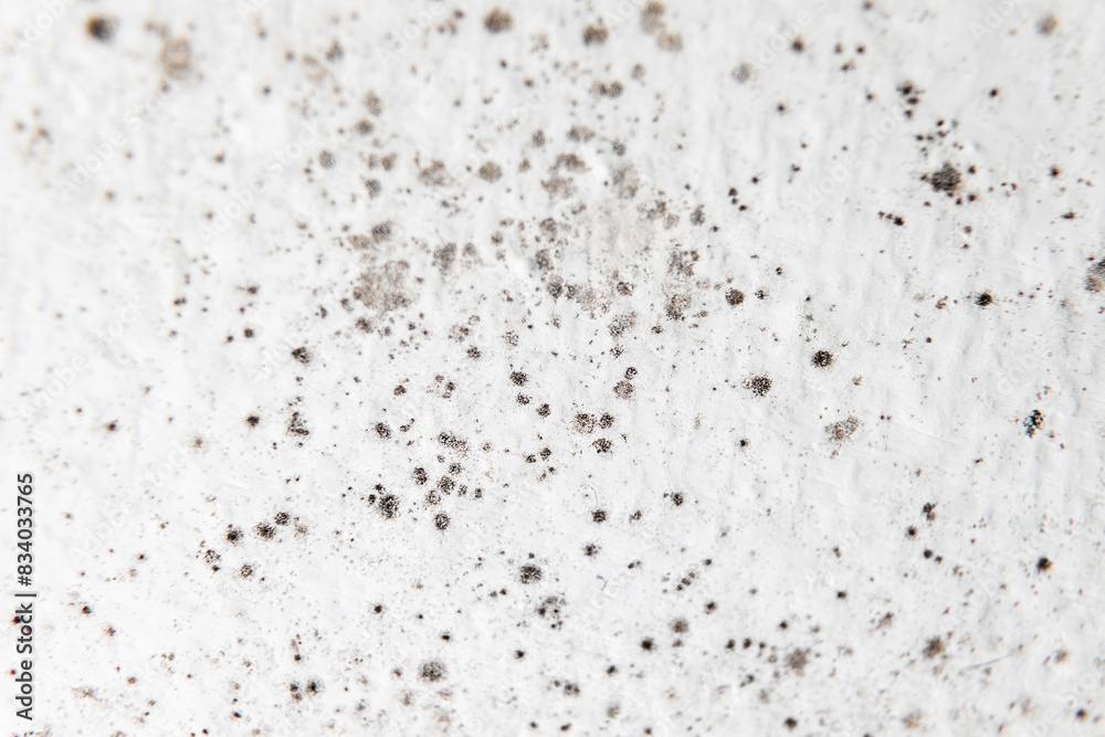 Mold on bathroom ceiling - moist indoor environment - Denmark Mold on bathroom ceiling - moist indoor environment - Denmark