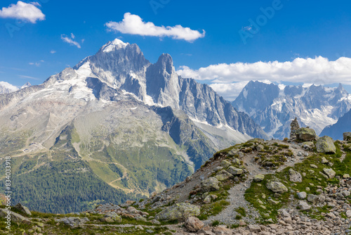 Wallpaper Mural Chamonix Montblanc beautiful alpine mountain summits landscape. Alps mountains with snow and glacier above green valley of Chamonix in France. Alps beautiful scenery in summer Torontodigital.ca