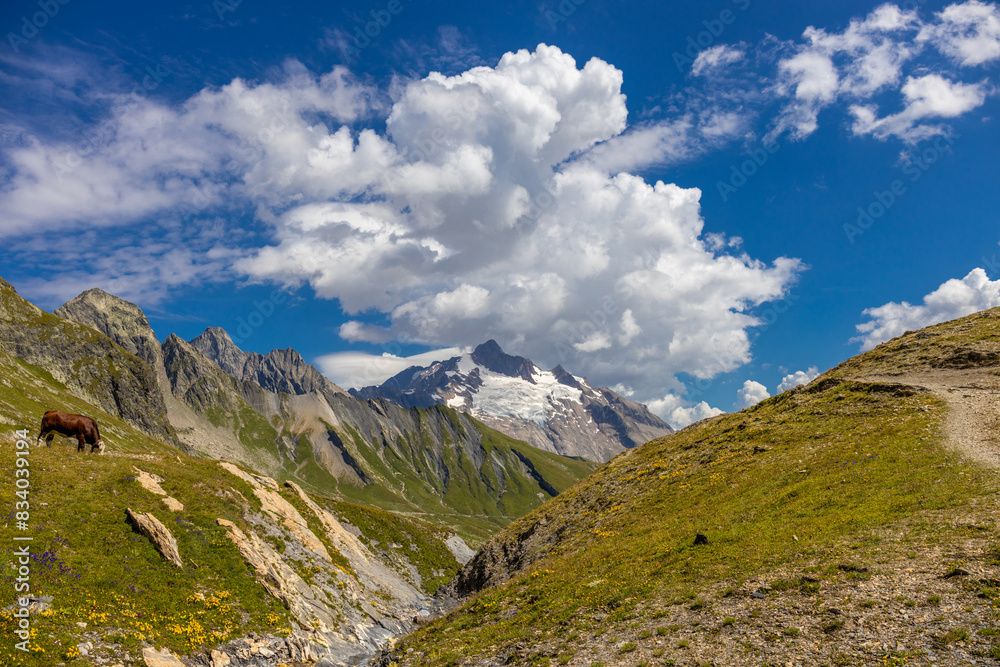 Fototapeta premium Chamonix Montblanc beautiful alpine mountain summits landscape. Alps mountains with snow and glacier above green valley of Chamonix in France. Alps beautiful scenery in summer