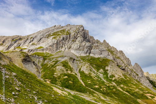 Chamonix Montblanc beautiful alpine mountain summits landscape. Alps mountains with snow and glacier above green valley of Chamonix in France. Alps beautiful scenery in summer