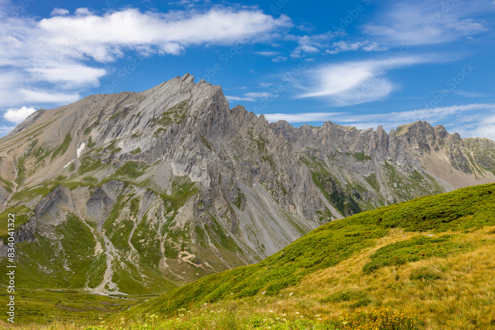 Chamonix Montblanc beautiful alpine mountain summits landscape. Alps mountains with snow and glacier above green valley of Chamonix in France. Alps beautiful scenery in summer