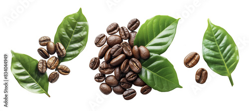 coffee grains and green leaves photo