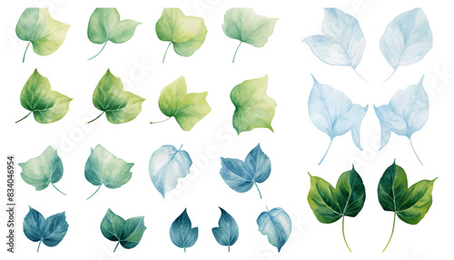 Set collection watercolor ivy leaves vector isolated on white background