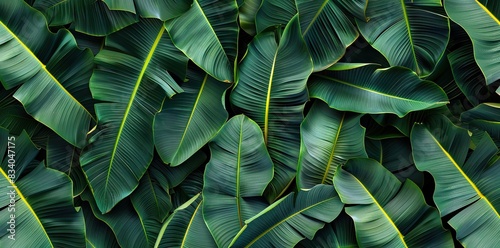 Close up tropical Green leaves texture and abstract wallpaper  Nature concept.  dark tone. AI generated illustration