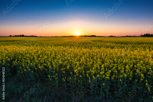 sunset in the field © Christian