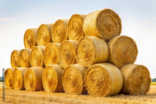 Stacked hay bales in a field on a sunny day. Perfect for concepts of agriculture, farming, harvest, rural life, and countryside scenery. photo