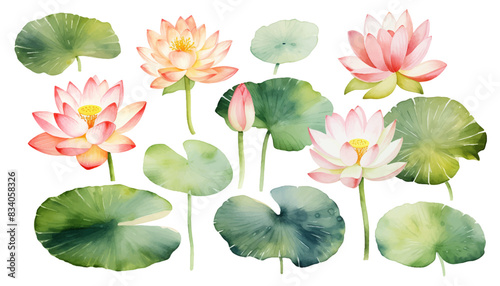 Colorful watercolor of lotus and lilies flower on white background. Vector set of blooming floral for your design. Adornment for wedding invitations and greeting card.