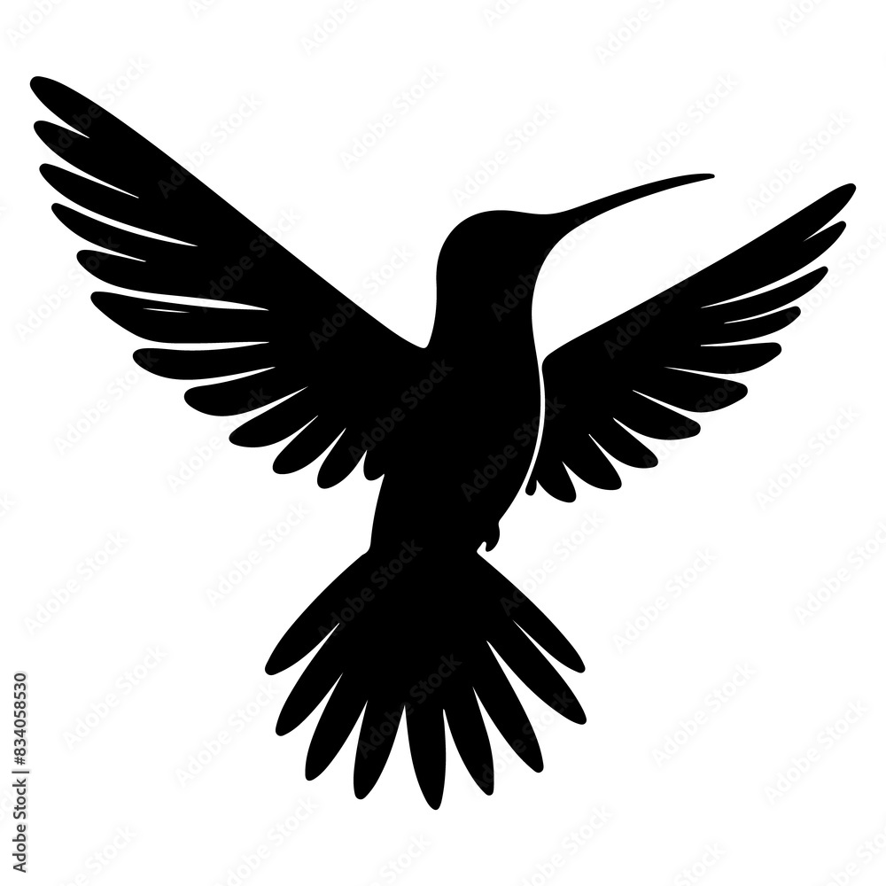 Obraz premium Flying hummingbirds silhouette isolated on white background