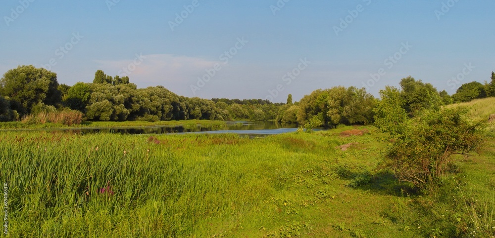 River in the forest, lake in the woods, river and clouds, reflection of trees in the water