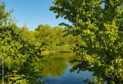 River in the forest  lake in the woods  river and clouds  reflection of trees in the water