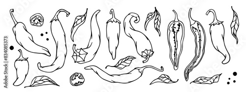 Set of sketches, doodles of hot chili peppers and pieces of vegetables. Vector graphics.