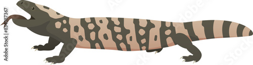 Color vector illustration of gila monster side view. Wild animal venomous lizard isolated on white background. Wildlife of North America.