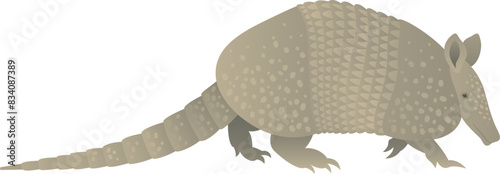 Color vector illustration of walking, running nine-banded or long-nosed armadillo side view. Wild animal isolated on white background. Wildlife of America.