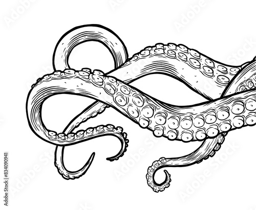 Foto Octopus tentacles reaching upwards, squid-like marine animal body parts protruding from out of frame